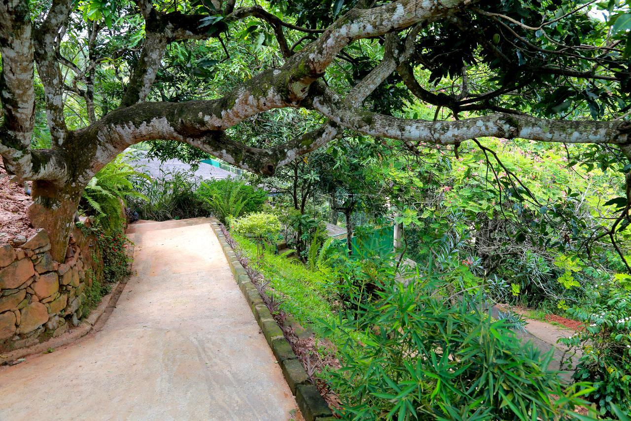 Villa Serene Kandy Buitenkant foto